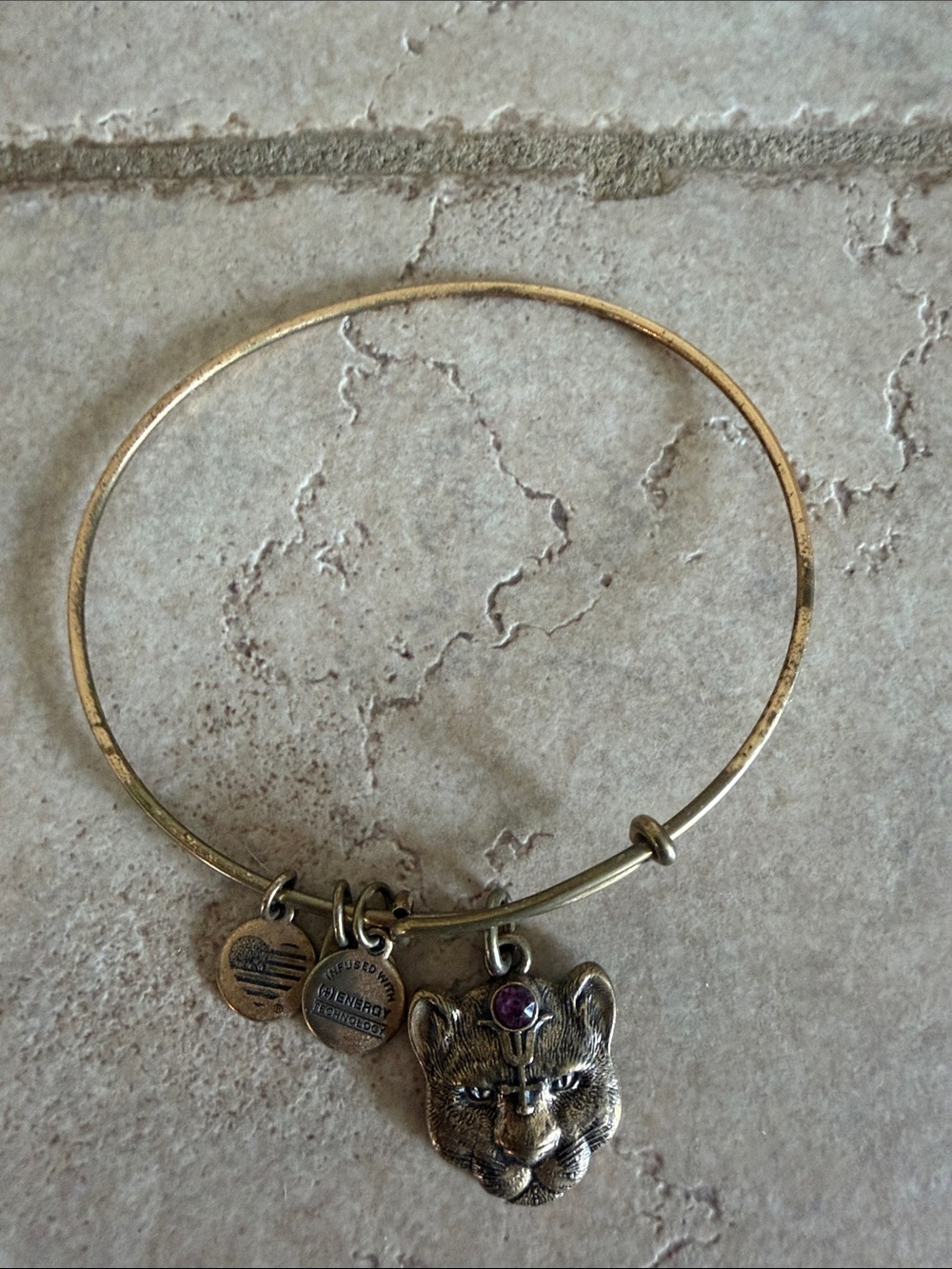 Alex and Ani Gold Cat Head Charm Bangle Bracelet